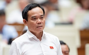 Phó Thủ tướng Trần Lưu Quang làm Trưởng ban Chỉ đạo sắp xếp đơn vị hành chính