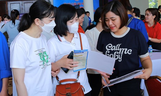Người lao động tham gia phiên giao dịch việc làm quận Hồng Bàng. Ảnh: Cổng TTĐT quận Hồng Bàng
