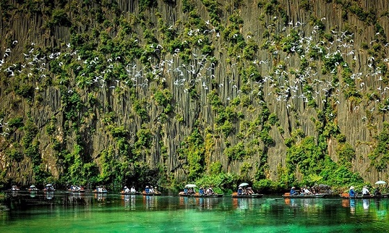 Khu bảo tồn thiên nhiên đất ngập nước Vân Long được Ủy ban Danh lục xanh toàn cầu (IUCN) phê duyệt và chứng nhận Danh lục xanh đầu tiên ở Đông Nam Á. Ảnh: Mạnh Thắng