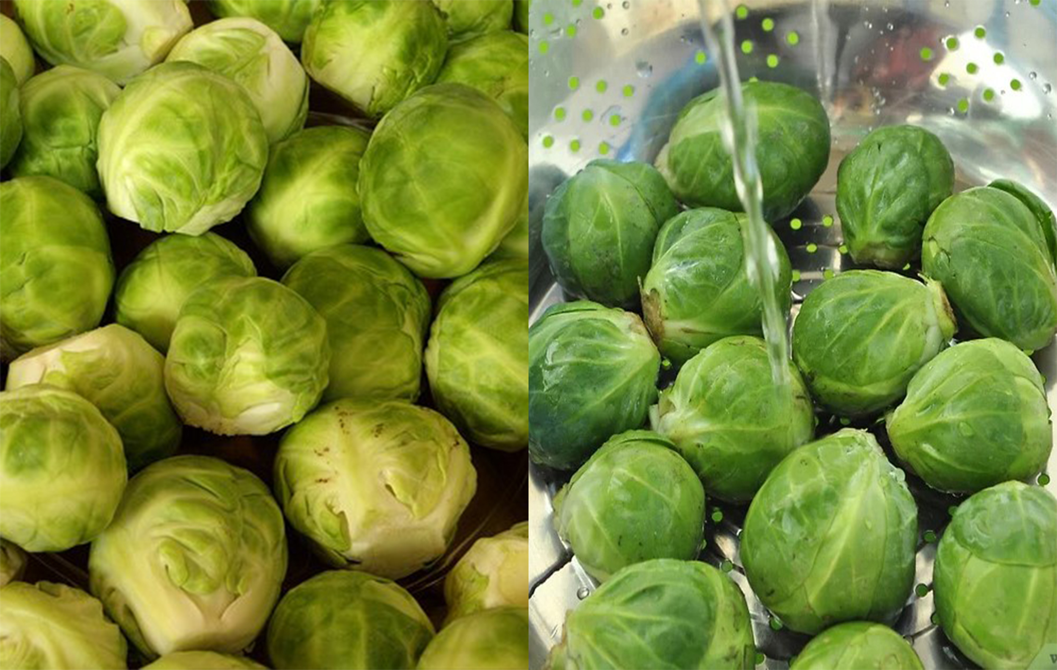 Cải Brussels có thể hỗ trợ sức khỏe tiêu hóa, nhưng cũng có thể gây đầy hơi ở một số người. Ảnh: Huỳnh Phương