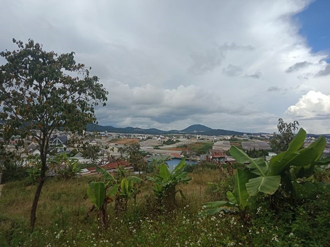 Lâm Đồng yêu cầu kiểm tra, rà soát các vụ việc khiếu nại, tố cáo phức tạp kéo dài trong lĩnh vực tài nguyên và môi trường. Ảnh: Nhiệt Băng