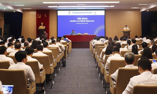 Hội nghị Người lao động Tập đoàn Điện lực Việt Nam năm 2023 có sự tham dự của 255 đại biểu. Ảnh: Minh Thành