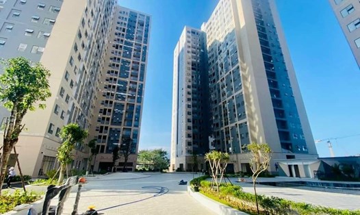 Đà Nẵng mở bán hơn 200 căn hộ nhà ở xã hội. Ảnh: Nguyễn Linh