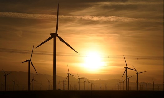 Những nông trại gió đầy thơ mộng ở Tân Cương đang cung cấp một lượng điện lớn cho các thành phố ở Trung Quốc. Ảnh: Xinhua