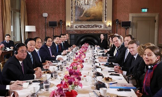 Thủ tướng Chính phủ Phạm Minh Chính và Thủ tướng Vương quốc Hà Lan Mark Rutte hội đàm ngày 12.12.2022. Ảnh: TTXVN