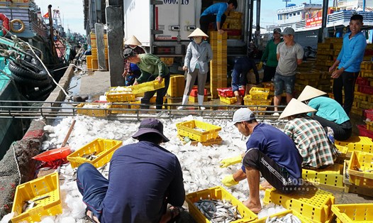 Khai thác thủy sản chiếm vị trí quan trọng trong kinh tế biển của tỉnh Sóc Trăng. Ảnh: Phương Anh
