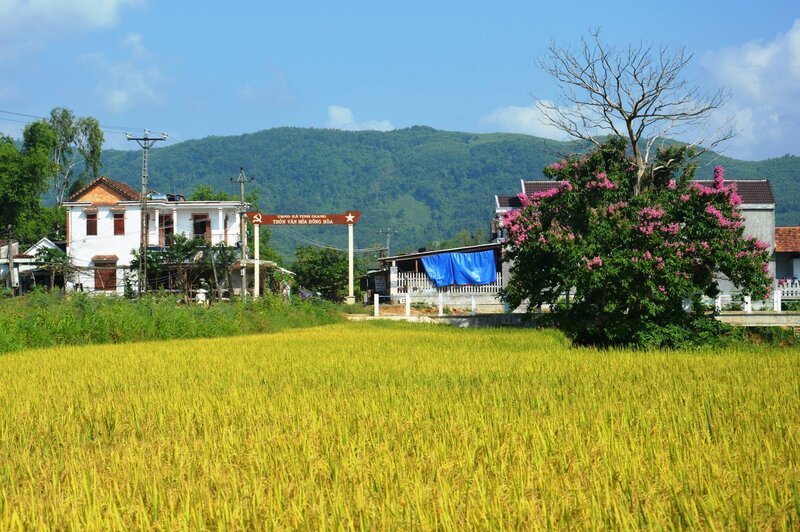 Xã Tịnh Giang, huyện Sơn Tịnh, tỉnh Quảng Ngãi, là xã đạt chuẩn nông thôn mới đầu tiên ở huyện Sơn Tịnh. Ảnh: Ngọc Viên