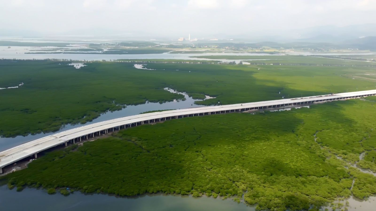 Những cánh rừng ngập mặn hai bên đường dẫn lên cầu phía Hoành Bồ. Ảnh: Nguyễn Hùng