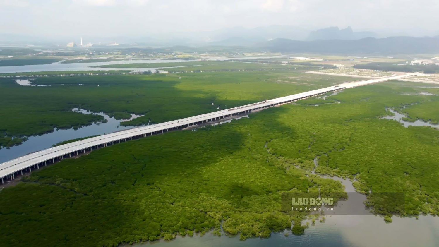 Để giảm thiểu tối đa tác động đến rừng ngập mặn, tỉnh Quảng Ninh đã điều chỉnh hướng tuyến và phương án thi công, trong đó hạn chế đổ đất làm đường dẫn, mà thay vào đó là làm cầu dẫn. Ảnh: Nguyễn Hùng