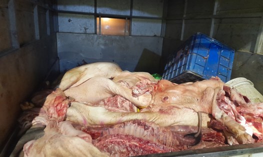 Gần 1,4 tấn thịt lợn bốc mùi ôi thiu, đang phân hủy bị phát hiện khi đang trong quá trình vận chuyển, tiêu thụ. Ảnh: Đội QLTT số 5