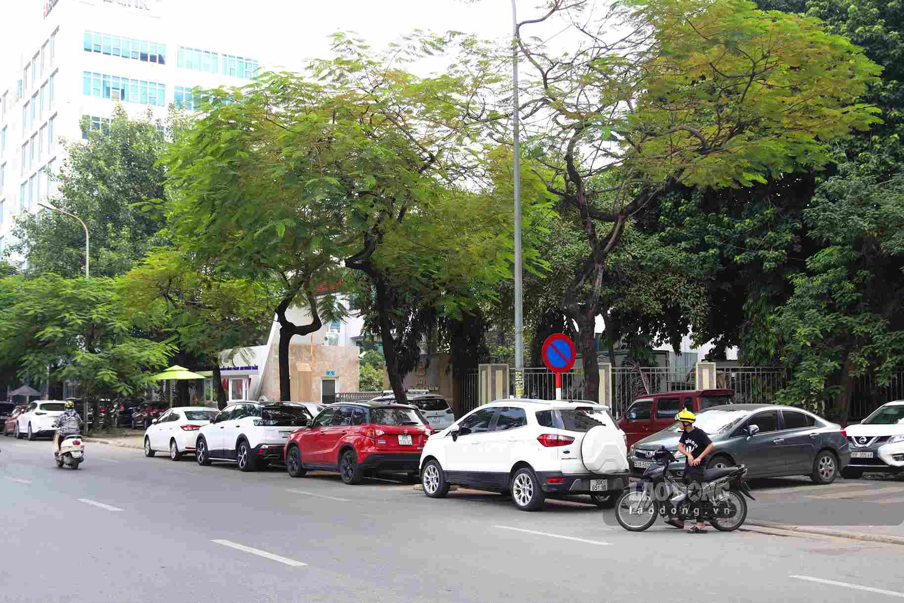 Đường Lê Đức Thọ hướng đi Hồ Tùng Mậu dù biển báo “cấm đỗ xe” được lắp đặt một mình những xe ô tô dẫn đỗ dài trên đường.