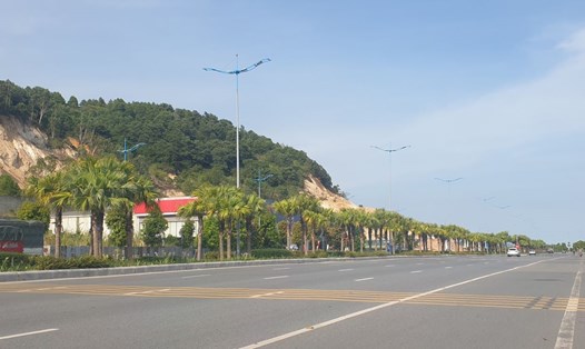 Khu vực đồi Hà Khẩu được dự kiến làm dự án Khu công viên rừng Hạ Long. Ảnh: Nguyễn Hùng