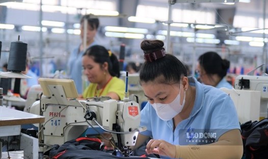 Công nhân tại Công ty TNHH May xuất nhập khẩu Đức Thành (thành phố Long Xuyên, tỉnh An Giang) tất bật làm việc giữa làn sóng cắt giảm lao động. Ảnh: Phong Linh