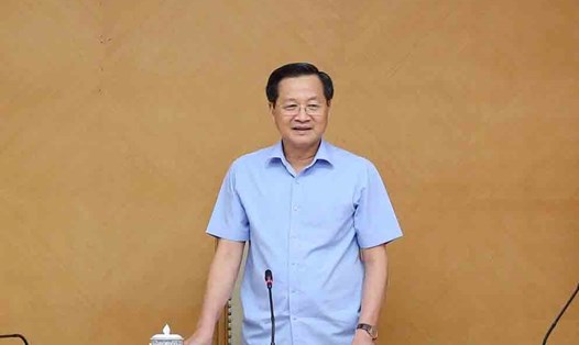  Phó Thủ tướng Lê Minh Khái phát biểu tại buổi làm việc. Ảnh: VGP