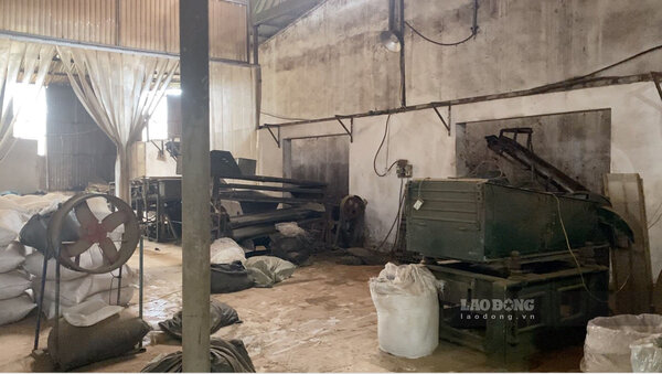 Bên trong nhà máy sản xuất của Tập đoàn Ntea tại Bình Xuyên, Vĩnh Phúc. Ảnh: PV Lao Động