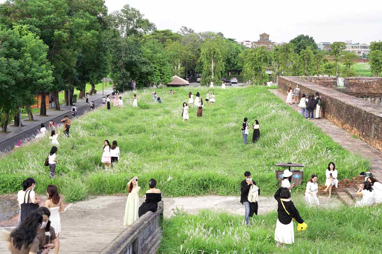 những ngày qua, tại khu vực trên Thượng thành, Eo bầu phía trước Quảng trường Ngọ Môn, hai bên Kỳ đài Kinh thành Huế, những vườn hoa cỏ tranh bung nở trắng muốt đã thu hút sự quan tâm của đông đảo người dân và du khách.