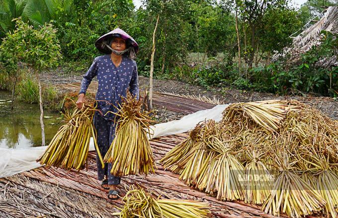 Ở miền Tây, lục bình không còn lững lờ trôi mà đã “cập bến” giúp nhiều hộ dân đổi đời, mang lại thu nhập ổn định. 