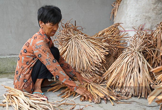 Hiện nay, sản phẩm lục bình khô được các hộ dân phơi khô và bán lại cho các thương lái để cung cấp cho các cơ sở làm thủ công mỹ nghệ, với giá trung bình từ 19.000 - 20.000đồng/kg. 