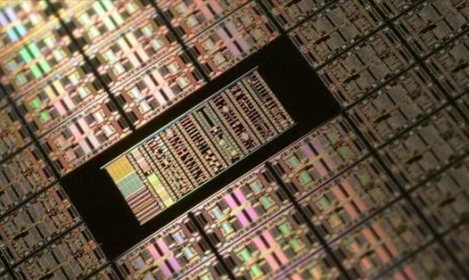 Đà Nẵng sẽ tổ chức hội thảo về phát triển nguồn nhân lực về chip bán dẫn. Ảnh: Nguyên Thi