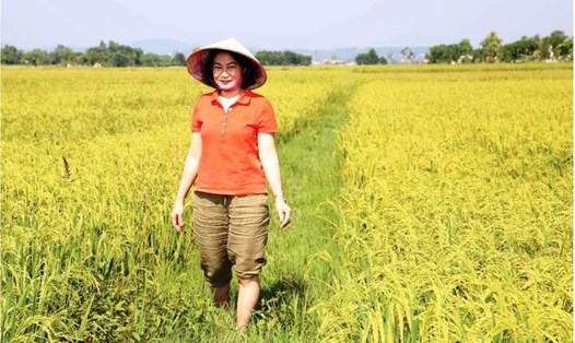 Giá gạo xuất khẩu của Việt Nam vẫn ở mức cao nhờ chất lượng gạo thuộc tốp đầu thế giới. Ảnh: Phi Hổ