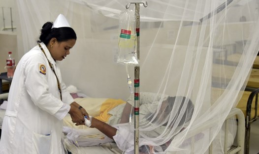 Một bệnh nhân sốt xuất huyết đang được điều trị ở Bangladesh. Ảnh minh hoạ. Ảnh: Xinhua