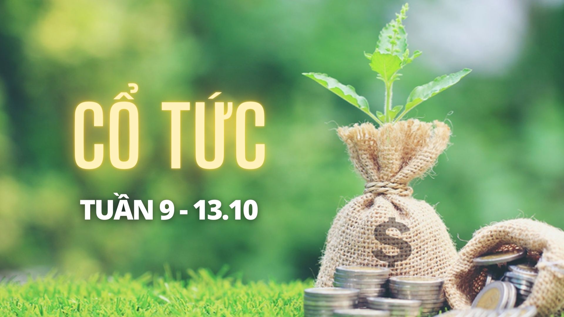 Nhiều doanh nghiệp thông báo chốt quyền cổ tức vào tuần tới. Đồ hoạ: Đức Mạnh 