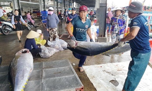 Nghiệp đoàn Nghề cá trên địa bàn tỉnh Khánh Hòa. Ảnh: CĐN