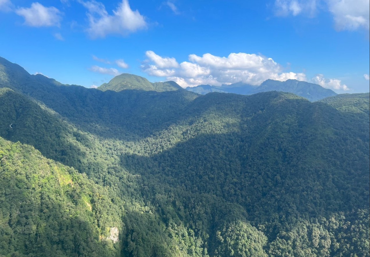 Hoàng năm, Hoàng Liên Sơn thu hút nhiều du khách nước ngoài tới Sa Pa, tham quan, khám phá và trải nghiệm.