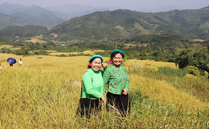 Du khách chụp ảnh check-in trên cánh đồng ruộng bậc thang chín vàng ở Bình Liêu (tỉnh Quảng Ninh). Ảnh: quangninh.gov.vn