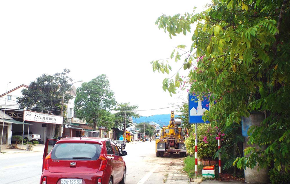 Biển báo vào khu vực thị trấn Tây Sơn (Hương Sơn, Hà Tĩnh) bị tán cây che khuất. Ảnh: Sỹ Thông