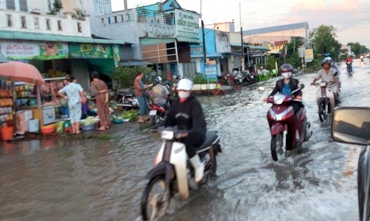 Triều cường gây ngập một đoạn Quốc lộ 1A đoạn qua thị xã Giá Rai, tỉnh Bạc Liêu sáng ngày 1.11. Ảnh: Nhật Hồ