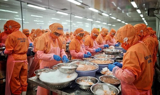 Trong giai đoạn nhiều công ty khó khăn, người lao động tại tỉnh Trà Vinh vẫn được tạo điều kiện tốt nhất đảm bảo thu nhập. Ảnh: Hoàng Lộc