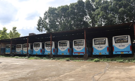 Một số tuyến xe buýt ở Đắk Lắk sẽ tạm dừng hoạt động từ 1.12.2023. Ảnh: Cao Nguyên