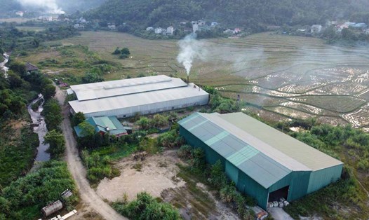 Công an huyện Lương Sơn đã vào cuộc vụ xưởng ván ép không phép, gây ô nhiễm mà Lao Động phản ánh. Ảnh: Minh Nguyễn