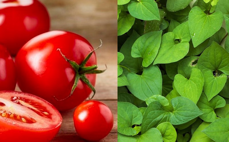 Rau diếp cá và cà chua tốt cho mắt. Ảnh ghép: Nguyễn Ly