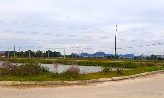208 lô đất tại huyện Yên Mô và 77 lô đất tại huyện Kim Sơn, tỉnh Ninh Bình sẽ được tổ chức đấu giá. Ảnh minh hoạ: Diệu Anh.