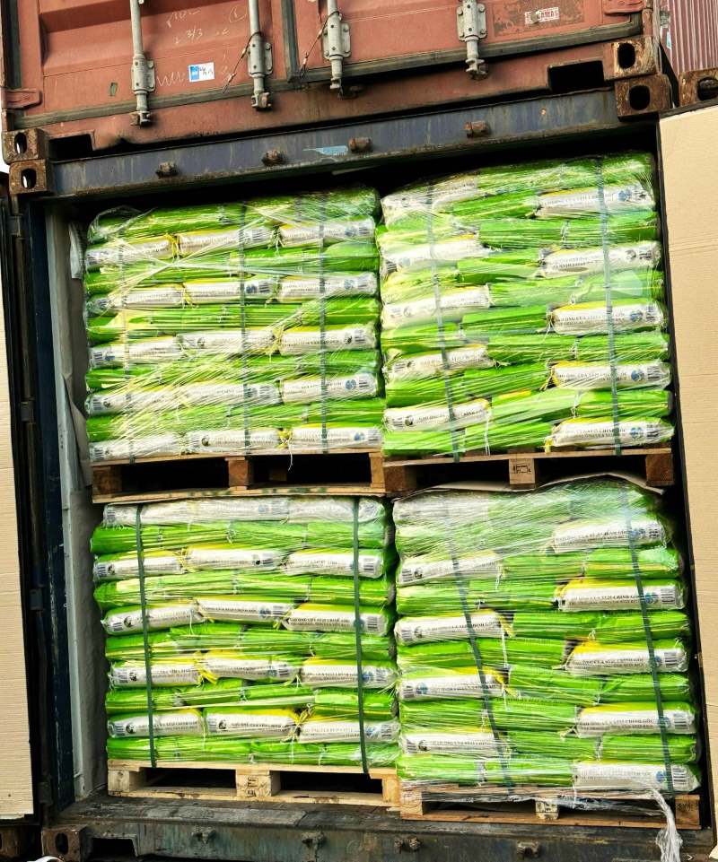 Gạo Ông Cua ST25 tập kết tại cảng xuất khẩu vào thị trường Mỹ. Ảnh: NSX cung cấp
