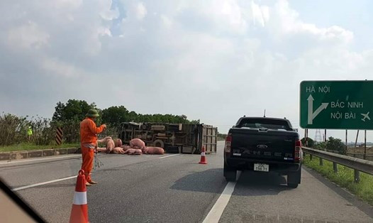 Sự việc cảnh sát giao thông giúp dân bắt lợn trên cao tốc. Ảnh : Lý Hợp