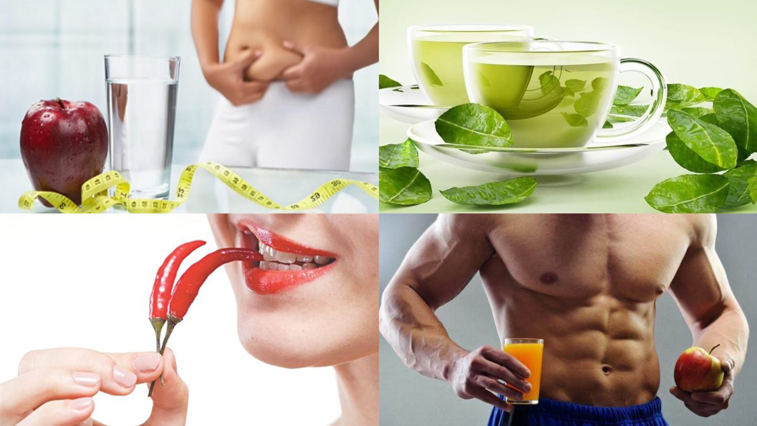 Ảnh minh họa: Tuệ Nhi