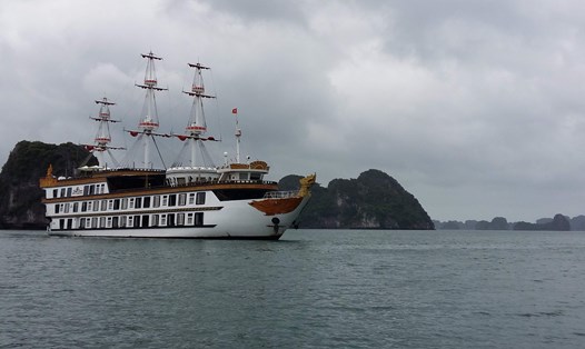 Đội tàu du lịch trên vịnh Hạ Long hiện hầu hết là tàu cấp S1. Ảnh: Nguyễn Hùng