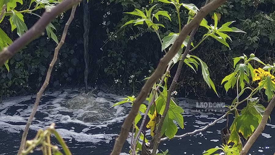 Hàng nghìn mét khối nước thải từ các cơ sở chế biến dong riềng xả ra sông Nậm Rốm mỗi ngày. Ảnh: PV