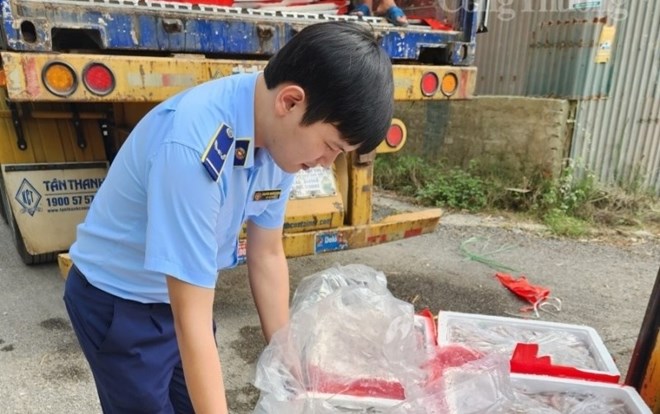 Lực lượng quản lý thị trường tỉnh Thanh Hóa tạm giữ lô hàng hơn 3 tấn cá khoai ướp phoóc môn hôm tháng 7.2023. Ảnh: Trần Lâm