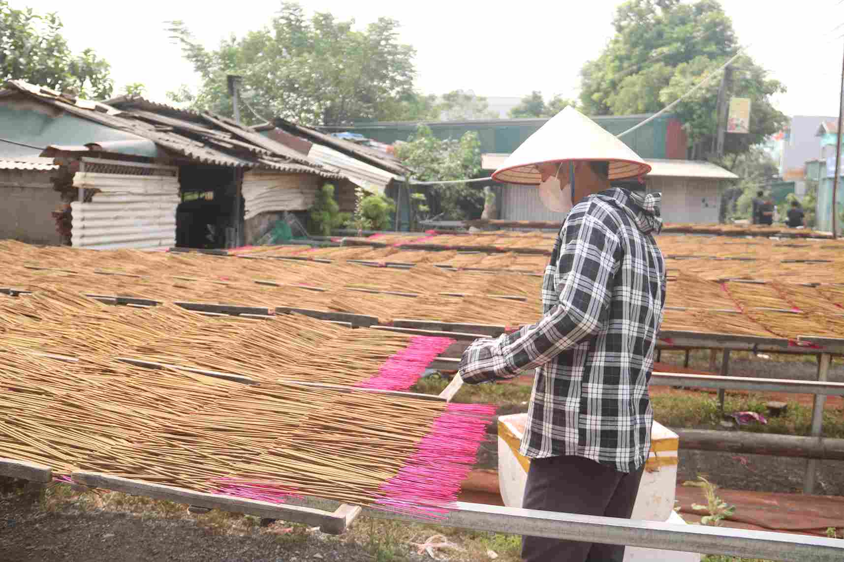 Hương sau khi se xong được đem đi phơi nắng để không bị mốc.