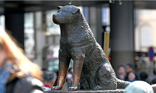 Tượng chú chó Hachiko ở ga Shibuya, Tokyo, Nhật Bản. Ảnh: Nippon