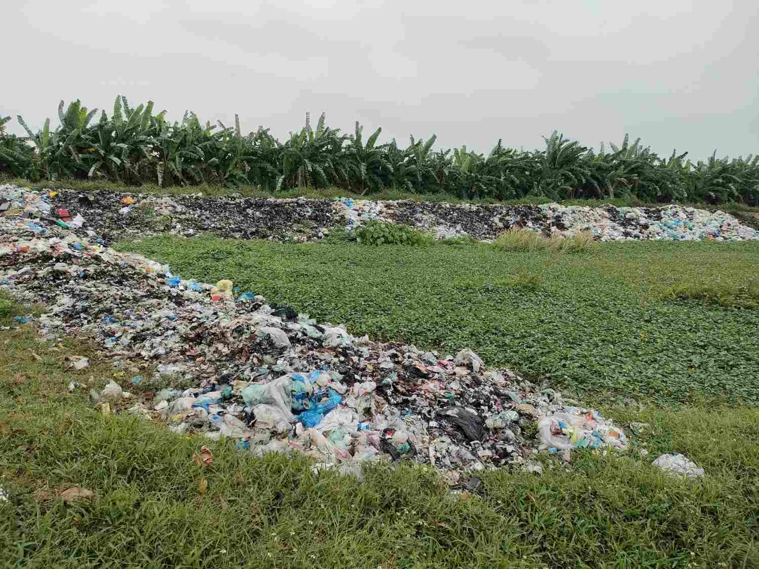 Bãi rác rộng 3.000 m2 ở thôn Bình Cách thường xuyên bị đốt, gây ô nhiễm. Ảnh: Hoàng Khôi