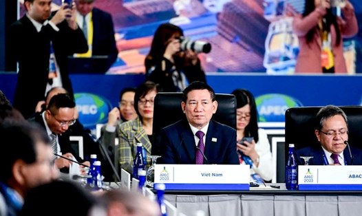 Bộ trưởng Bộ Tài chính Hồ Đức Phớc tại Hội nghị Bộ trưởng Tài chính APEC lần thứ 30. Ảnh: TTXVN