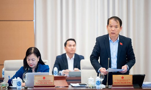 Chủ nhiệm Ủy ban Pháp luật của Quốc hội Hoàng Thanh Tùng báo cáo tại phiên họp. Ảnh: VPQH