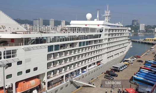 Một tàu biển quốc tế siêu sang cập Cảng tàu khách quốc tế Hạ Long, TP Hạ Long cuối tháng 10.2023. Ảnh: Nguyễn Hùng