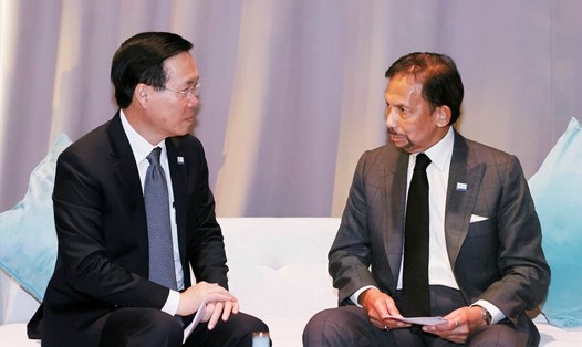 Chủ tịch nước Võ Văn Thưởng gặp Quốc vương Brunei Hassanal Bolkiah. Ảnh: TTXVN