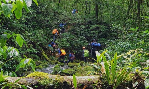 Khu bảo tồn thiên nhiên Sông Thanh, Quảng Nam là rừng nguyên sinh, liền mạch lớn nhất ở miền Trung hiện nay. Ảnh: Thanh Hải